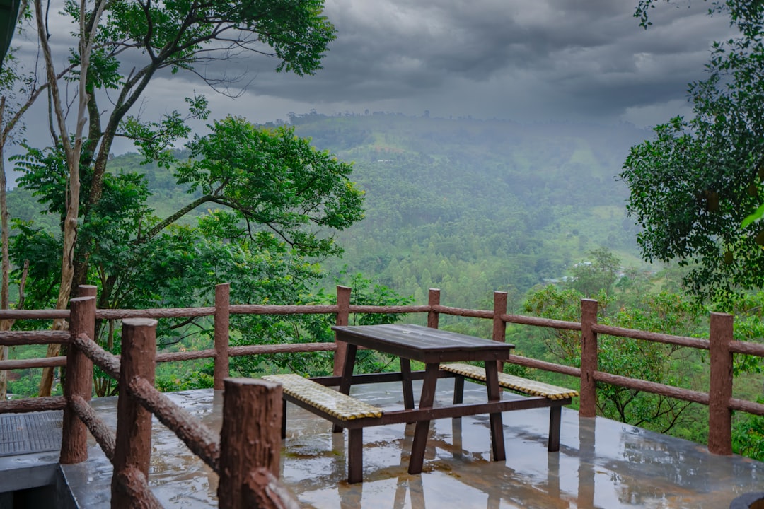 Кто самый кассовый режиссер в мире?